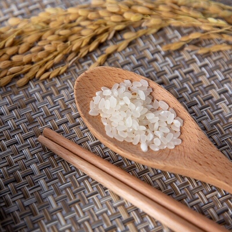 솔바우농부쌀,솔바우,춘천솔바우,지역먹거리,현지인먹거리,춘천먹거리,강원먹거리,백미,쌀,춘천농산물,강원농산물