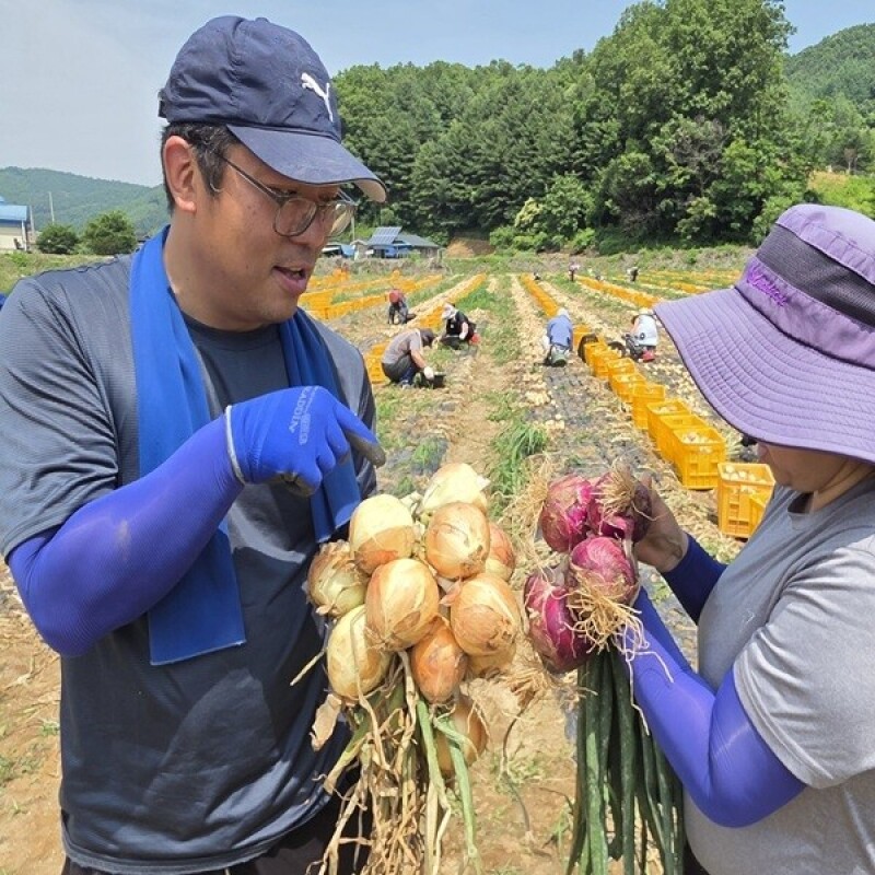솔바우농부쌀,솔바우,춘천솔바우,지역먹거리,현지인먹거리,춘천먹거리,강원먹거리,백미,쌀,춘천농산물,강원농산물