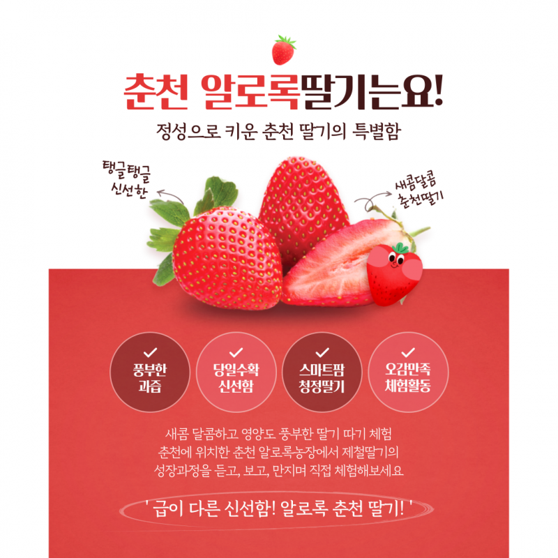 솔바우농부쌀,솔바우,춘천솔바우,지역먹거리,현지인먹거리,춘천먹거리,강원먹거리,백미,쌀,춘천농산물,강원농산물