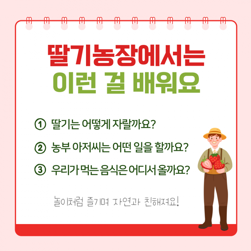솔바우농부쌀,솔바우,춘천솔바우,지역먹거리,현지인먹거리,춘천먹거리,강원먹거리,백미,쌀,춘천농산물,강원농산물