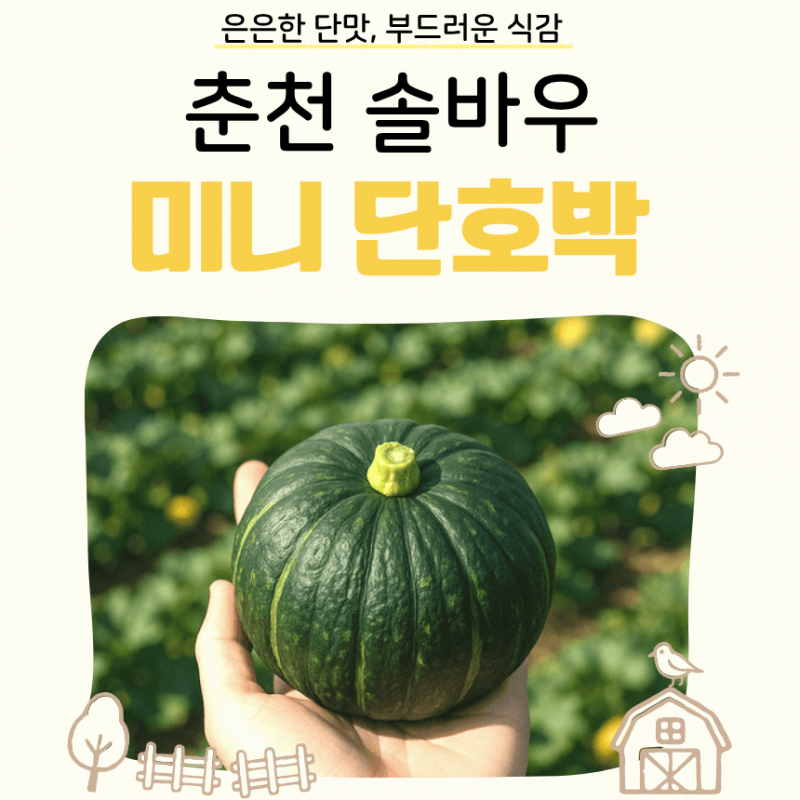 솔바우농부쌀,솔바우,춘천솔바우,지역먹거리,현지인먹거리,춘천먹거리,강원먹거리,백미,쌀,춘천농산물,강원농산물