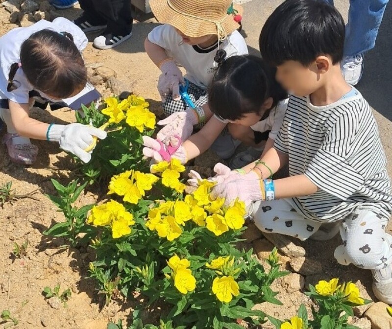 솔바우농부쌀,솔바우,춘천솔바우,지역먹거리,현지인먹거리,춘천먹거리,강원먹거리,백미,쌀,춘천농산물,강원농산물